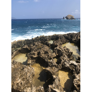 照片 瓜德罗普(Guadeloupe) 城堡角(Castle Point) 2021-02 246