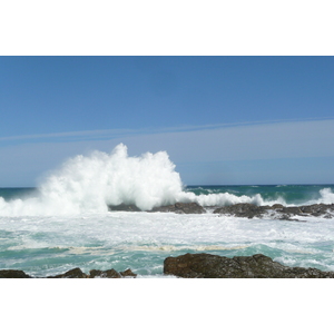 照片 南非(South Africa) 齐齐卡马国家公园(Tsitsikamma National Park) 2008-09 459