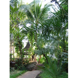 照片 缅甸(Myanmar) 仰光(Yangon) 甘达基宫殿酒店(Kandawgyi Palace Hotel) 2005-01 30