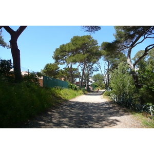 照片 法国(France) 波克罗勒岛(Porquerolles Island) 贝阿略角(Bearlieu Point) 2008-05 14