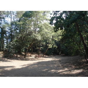 照片 法国(France) 维尔讷夫卢贝(Villeneuve Loubet) 沃格勒尼耶公园(Parc de Vaugrenier) 2006-09 22