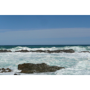 照片 南非(South Africa) 齐齐卡马国家公园(Tsitsikamma National Park) 2008-09 340