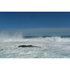 照片 南非(South Africa) 齐齐卡马国家公园(Tsitsikamma National Park) 2008-09 51