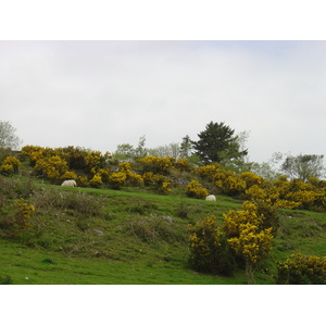 照片 爱尔兰(Ireland) 凯里郡(Kerry) 肯梅尔(Kenmare) 坦普尔诺(Templenoe) 2004-05 11