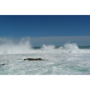 照片 南非(South Africa) 齐齐卡马国家公园(Tsitsikamma National Park) 2008-09 13