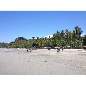 照片 哥斯达黎加(Costa Rica) 曼努埃尔安东尼奥(Manuel Antonio) 2015-03 439