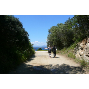 照片 法国(France) 波克罗勒岛(Porquerolles Island) 贝阿略角(Bearlieu Point) 2008-05 11