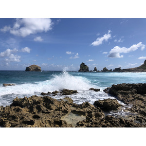照片 瓜德罗普(Guadeloupe) 城堡角(Castle Point) 2021-02 208