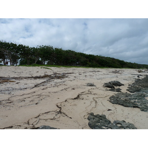 照片 斐济(Fiji) 楠迪至纳塔多拉公路(Nadi to Natadola road) 2010-05 84
