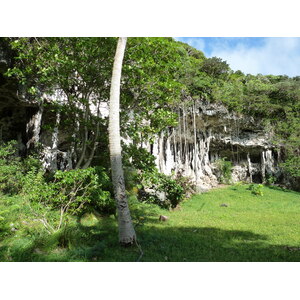 照片 新喀里多尼亚(New Caledonia) 利富岛(Lifou) 约西普(Josip) 2010-05 4