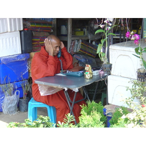 照片 缅甸(Myanmar) 丹老(Myeik (Mergui)) 2005-01 76