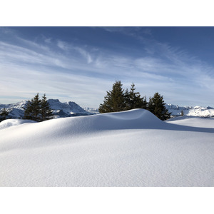 照片 法国(France) 阿尔利河畔普拉(Praz sur Arly) 2019-12 323
