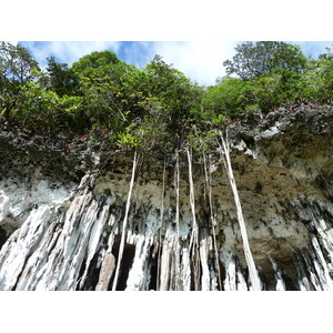 照片 新喀里多尼亚(New Caledonia) 利富岛(Lifou) 约西普(Josip) 2010-05 9