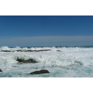 照片 南非(South Africa) 齐齐卡马国家公园(Tsitsikamma National Park) 2008-09 50