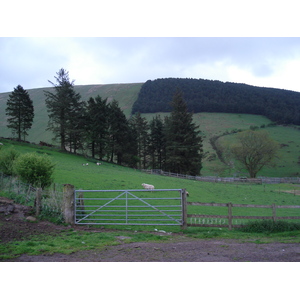 照片 英国(United Kingdom) 布雷肯比肯斯国家公园(Brecon Beacons National Park) 2006-05 84