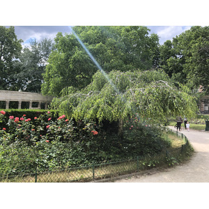 照片 法国(France) 巴黎(Paris) 蒙索公园(Monceau Garden) 2020-06 1