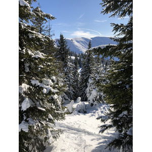 照片 法国(France) 阿尔利河畔普拉(Praz sur Arly) 2019-12 517
