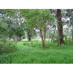 照片 泰国(Thailand) 考拉(Khao Lak) 邦萨海滩(Bang Sak Beach) 2005-12 28