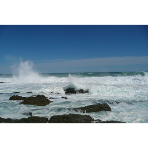 照片 南非(South Africa) 齐齐卡马国家公园(Tsitsikamma National Park) 2008-09 26