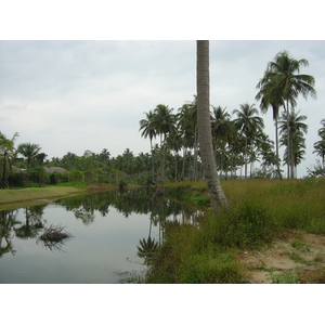 照片 泰国(Thailand) 考拉(Khao Lak) 邦萨海滩(Bang Sak Beach) 2005-12 65