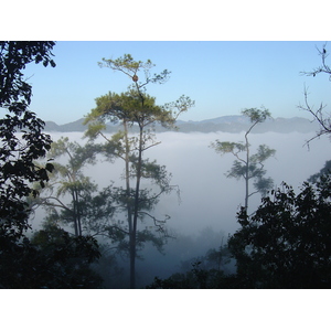 照片 泰国(Thailand) 邦玛帕(Pang Mapha) 2005-12 35