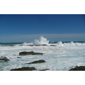 照片 南非(South Africa) 齐齐卡马国家公园(Tsitsikamma National Park) 2008-09 395