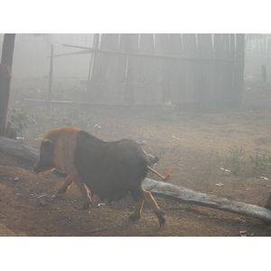 照片 泰国(Thailand) 邦玛帕(Pang Mapha) 2005-12 179