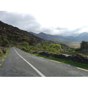 照片 爱尔兰(Ireland) 凯里郡(Kerry) 基拉尼国家公园(Killarney National Park) 2004-05 32