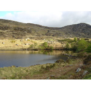 照片 爱尔兰(Ireland) 凯里郡(Kerry) 基拉尼国家公园(Killarney National Park) 2004-05 52