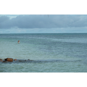照片 塞舌尔(Seychelles) 普拉兰岛(Praslin) 2011-10 171