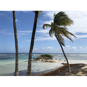 照片 瓜德罗普(Guadeloupe) 卡拉维尔海滩(La Caravelle Beach) 2021-02 65