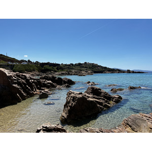 照片 法国(France) 科西嘉岛(Corsica) 萨戈内(Sagone) 2023-05 19