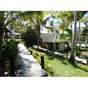 照片 新喀里多尼亚(New Caledonia) 利富岛(Lifou) 德雷胡村酒店(Drehu Village Hotel) 2010-05 86