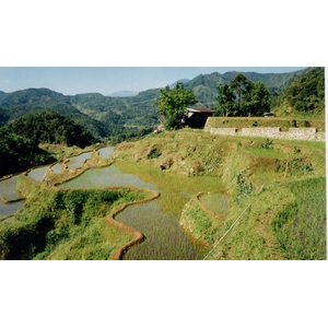 照片 菲律宾(Philippines) 巴纳韦(Banaue) 1997-03 7