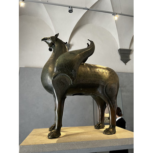 照片 意大利(Italy) 比萨(Pisa) 2022-05 91