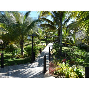 照片 新喀里多尼亚(New Caledonia) 利富岛(Lifou) 德雷胡村酒店(Drehu Village Hotel) 2010-05 29