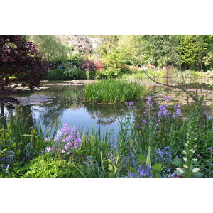 照片 法国(France) 吉维尼(Giverny) 2013-06 223