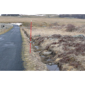 照片 法国(France) 奥布拉克(L'Aubrac) 2008-04 106