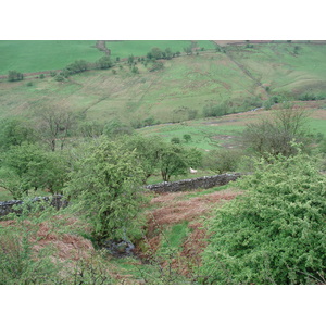 照片 英国(United Kingdom) 布雷肯比肯斯国家公园(Brecon Beacons National Park) 2006-05 119