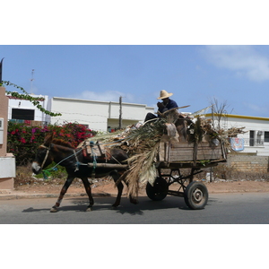 照片 摩洛哥(Morocco) 卡萨布兰卡(Casablanca) 卡萨布兰卡滨海大道(Casablanca Corniche) 2008-07 48