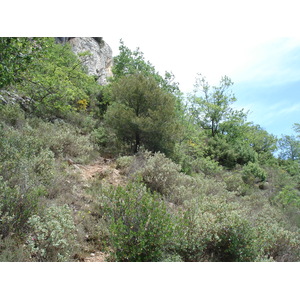 照片 法国(France) 旺斯(Vence) 巴乌山(Baou) 2006-06 86