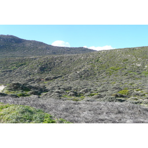照片 南非(South Africa) 好望角(Cape of Good Hope) 开普角(Cape Point) 2008-09 97