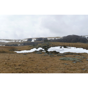 照片 法国(France) 奥布拉克(L'Aubrac) 2008-04 15