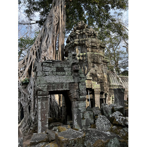 照片 柬埔寨(Cambodia) 暹粒(Siem Reap) 塔布茏寺(Ta Prohm) 2023-01 152
