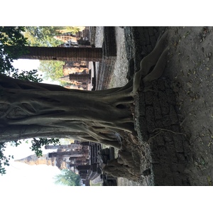 照片 泰国(Thailand) 西沙差那莱历史公园(Si satchanalai historical park) 2014-12 124