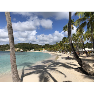 照片 瓜德罗普(Guadeloupe) 卡拉维尔海滩(La Caravelle Beach) 2021-02 5