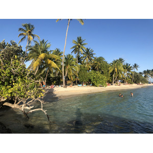 照片 瓜德罗普(Guadeloupe) 卡拉维尔海滩(La Caravelle Beach) 2021-02 152