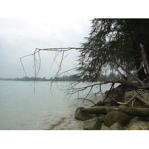 照片 泰国(Thailand) 考拉(Khao Lak) 邦萨海滩(Bang Sak Beach) 2005-12 83
