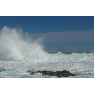 照片 南非(South Africa) 齐齐卡马国家公园(Tsitsikamma National Park) 2008-09 238