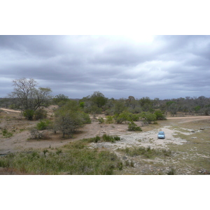 照片 南非(South Africa) 克鲁格国家公园(Kruger National Park) 姆蓬多(Mpondo) 2008-09 43